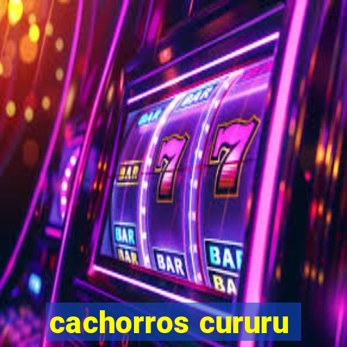 cachorros cururu